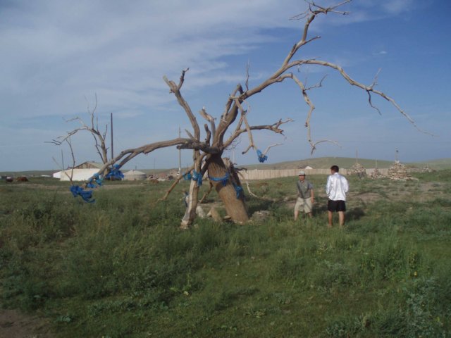 photo10.jpg