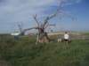 photo10_small.jpg
