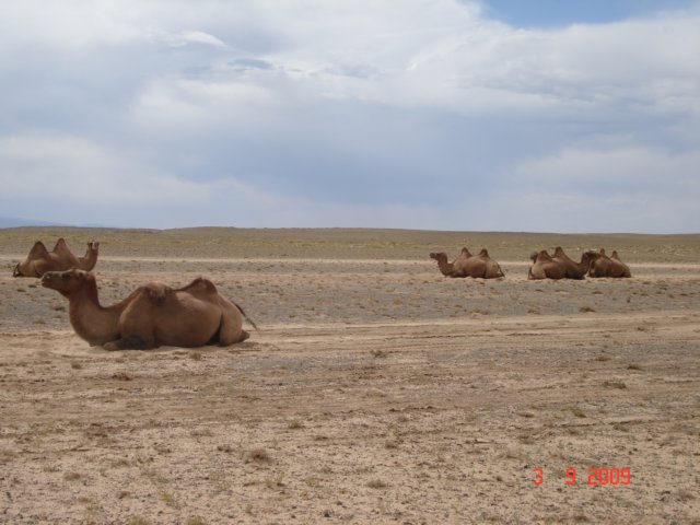 photo5.jpg