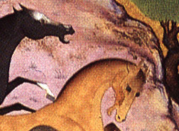 ����� ������� "���-����" ��������. ������. 